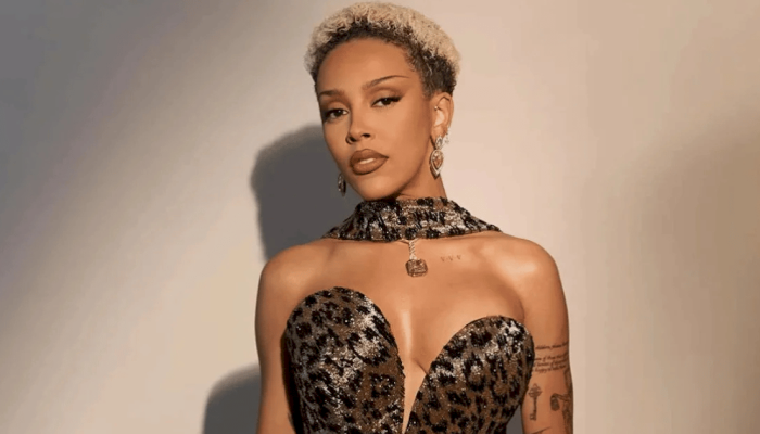 Doja Cat responde às críticas sobre sua nova turnê Foto: The Music Journal